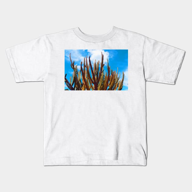 Aged image effect tall green candelabra cactus in Auckland Botanical Gardens. Kids T-Shirt by brians101